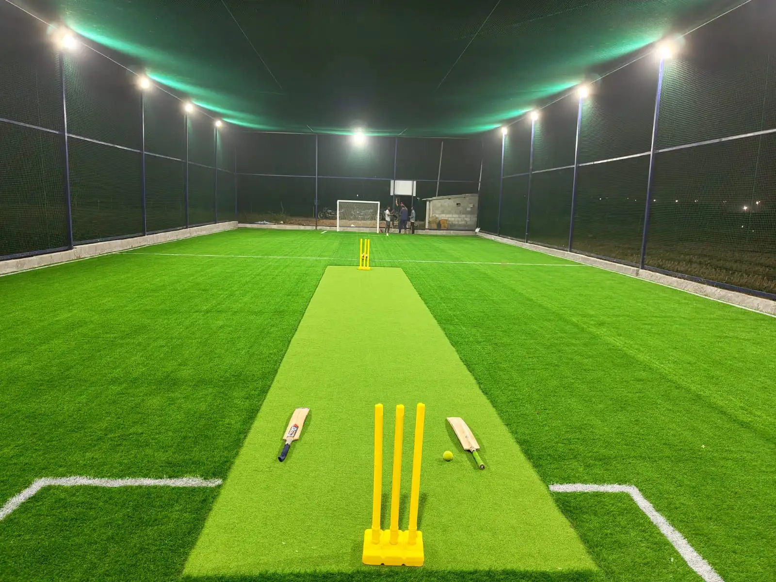 Cricket Turf
